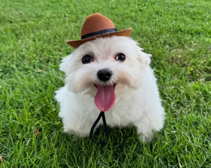 Iris Bracelet (slight defects)